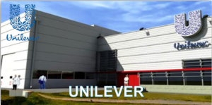 unilever render